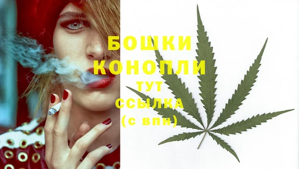 гидропоника Белоозёрский