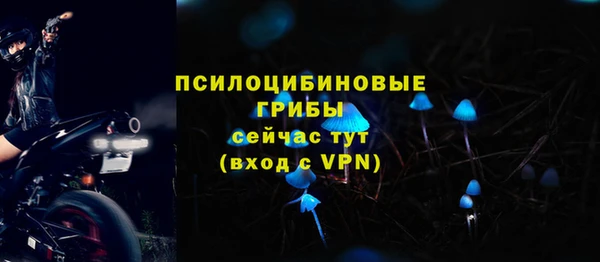 тгк Беломорск